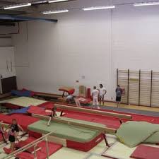 Image result for Cardiff Olympic Gymnastics Club