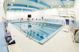 Image result for York University Pool Club