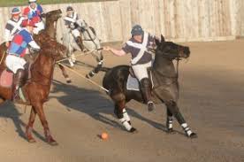 Image result for Woolmers Park Polo Club