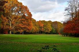 Image result for Chorleywood Golf Club Limited