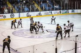 Image result for Chelmsford Chieftains