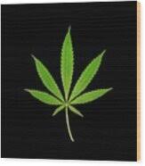 Attēlu rezultāti vaicājumam “Cannabis sativa leaf”