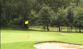 Image result for Alfreton Golf Club