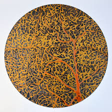 Attēlu rezultāti vaicājumam “Physarum obscurum plasmodium”