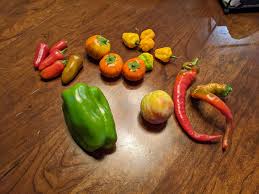 Afbeeldingsresultaat voor topepo giallo sweet pepper