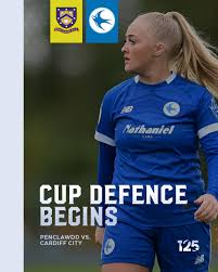 Image result for Penclawdd A F C