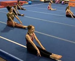 Image result for Aerodyne Gymnastics Club