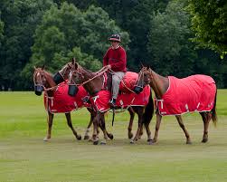 Image result for Woolmers Park Polo Club