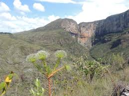 Image result for Cachoeira do Tabuleiro