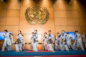 Image result for Dujon Tae Kwon Do