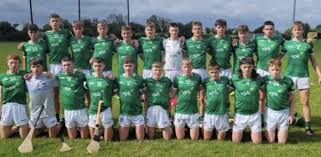 Image result for University Of Limerick Gaa Hurling Club