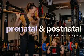 Image result for Postnatal Exercise Course