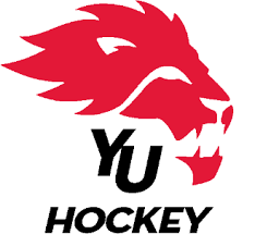 Image result for York University Street Hockey Club