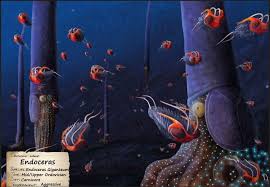 Attēlu rezultāti vaicājumam “Endoceras”