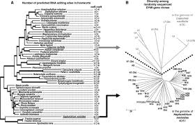 Attēlu rezultāti vaicājumam “Harpanthus flotovianus cells”