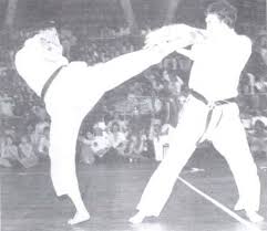 Image result for David Fuller Karate