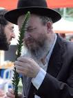 הדס-