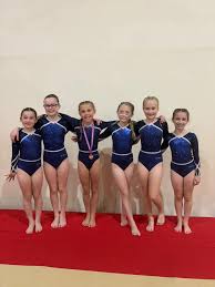Image result for Lincoln Gymnastics Club