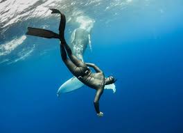 Image result for Bath Freediving Club