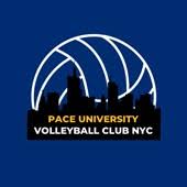 Image result for York University Volleyball Club