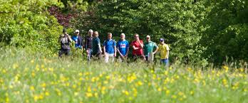 Image result for Croydon Disc Golf Club