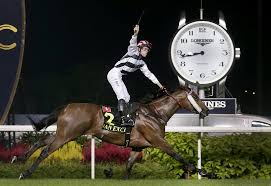 Image result for The Horse Racing Club