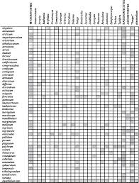 Attēlu rezultāti vaicājumam “Lycogala confusum young”