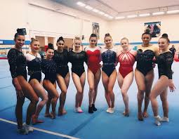 Image result for Park Wrekin Gymnastics Club