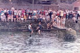 Image result for Peninsula Sub Aqua