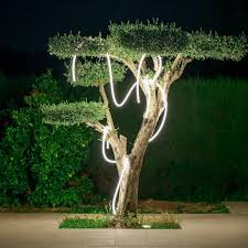 Image result for lysslange