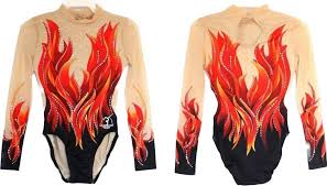 Image result for Elements Acro