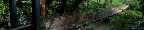 Image result for PONT DE SINGE