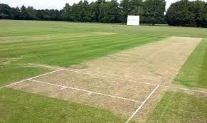 Image result for Stowmarket Cricket Club