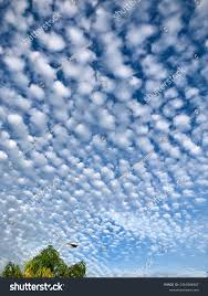 Attēlu rezultāti vaicājumam “altocumulus”