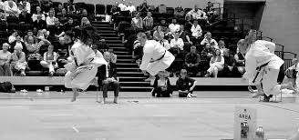 Image result for Sendai Kushiro Karate