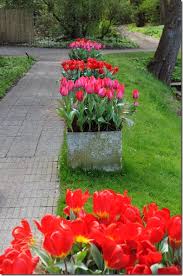 Image result for Mien Ruys