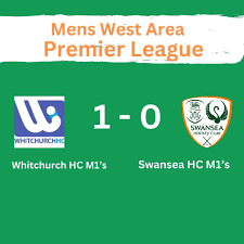 Image result for Swansea Bay Hockey Club