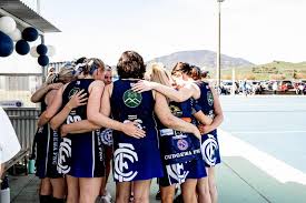 Image result for Newdigate Netball Club
