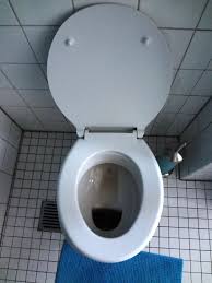 Image result for german toilet