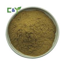 Attēlu rezultāti vaicājumam “Reynoutria sachalinensis fruit”