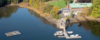 Image result for Pseudopleuronectes americanus