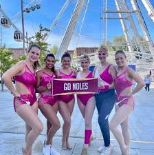 Image result for Carmarthen Twirlers