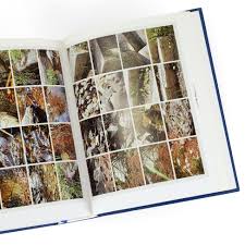 Image result for gerhard richter atlas