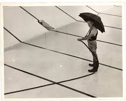 Image result for City of Preston Aquatics