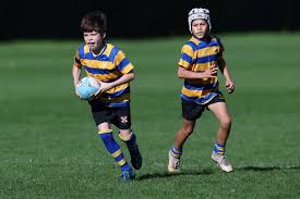 Image result for St Albans Rugby Football Sports & Social Club