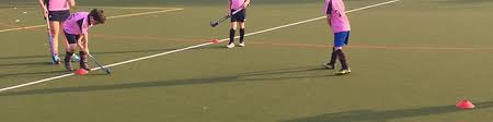 Image result for Teddington Ladies Bowling Club