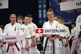 Image result for Fighting Arts Organisation of Great Britain