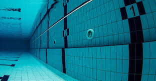 Image result for Wisbech Swimming Club