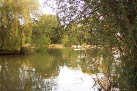 Image result for Guildford Angling Society