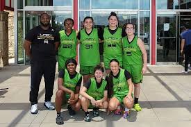 Image result for Wombles Netball Club